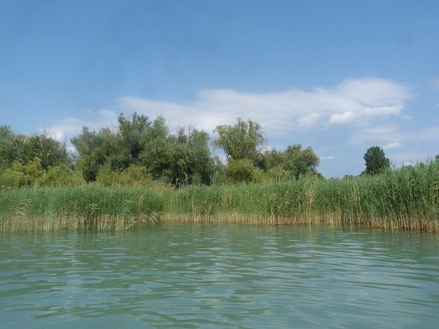 Fürdési tilalom a Balatonnál – Baktérium miatt zárva a népszerű strand